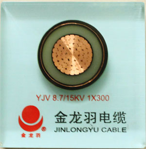 额定电压0.6/1kV~ 3.6/6kV变频电缆